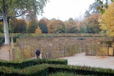 Schloss_Schönbrunn_Irrgarten_06.JPG